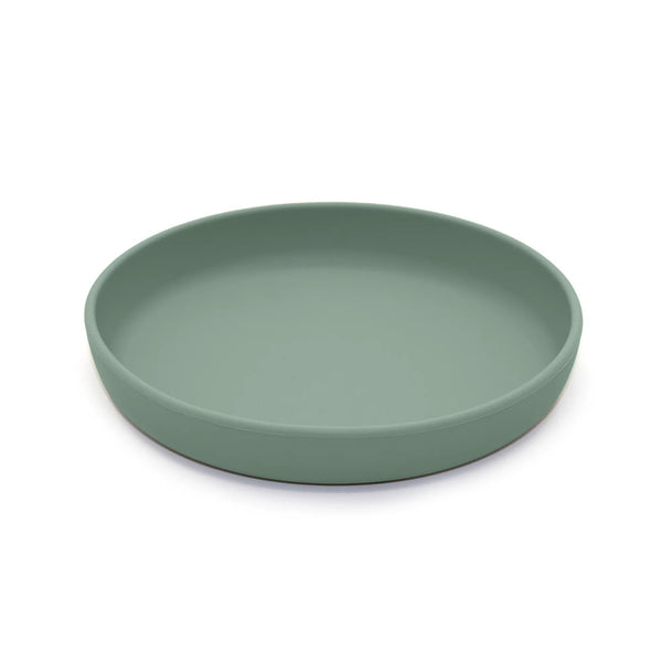 noüka Flat Plate- Fern