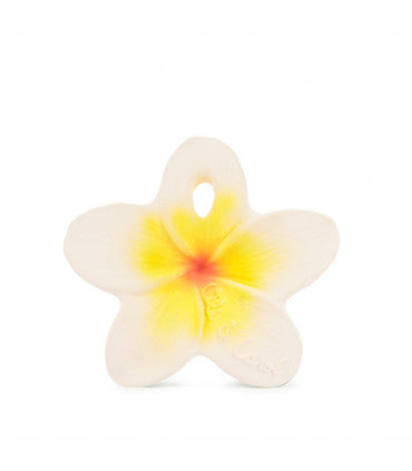 Hawaii the Flower